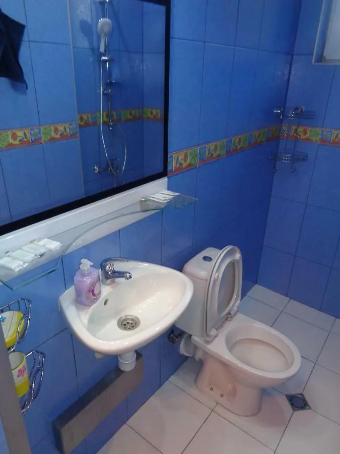 Sofia Central Apartment